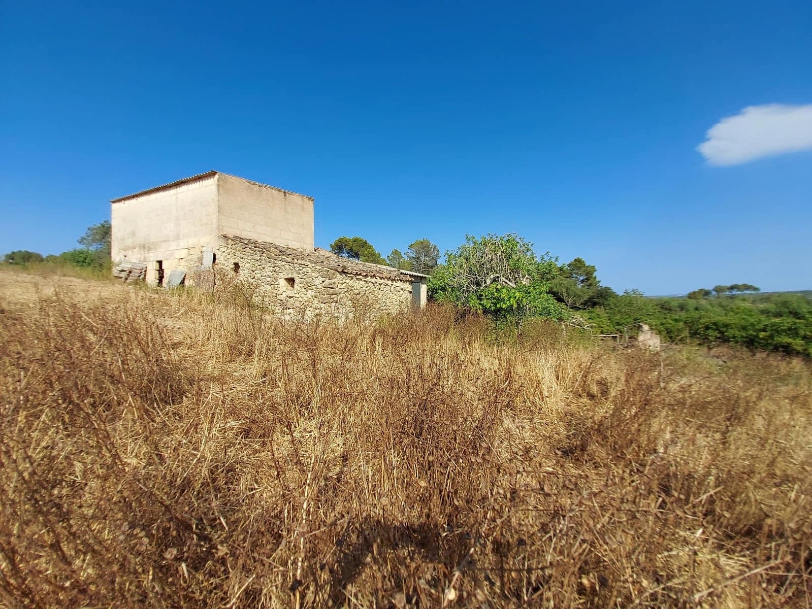 Lejlighed til salg i Maria de la Salud / Maria de la Salut med swimmingpool - € 240.000 (Ref: 10080140)