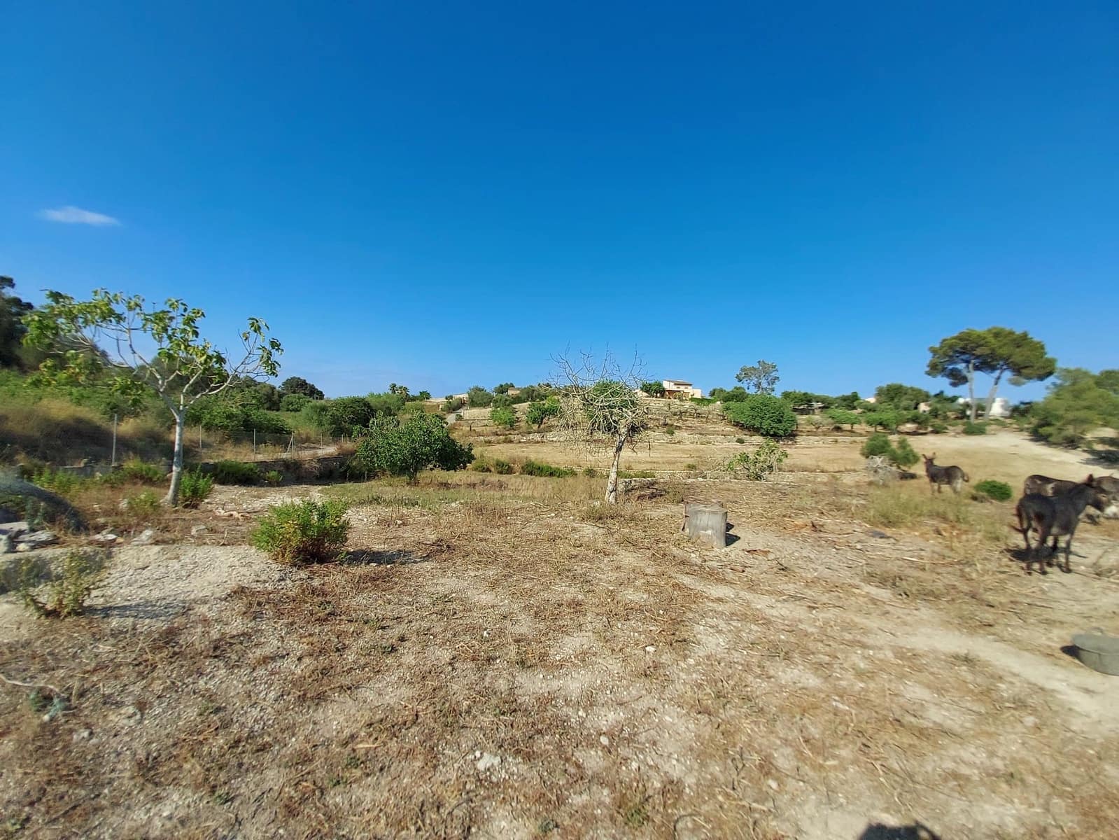 Lejlighed til salg i Maria de la Salud / Maria de la Salut med swimmingpool - € 240.000 (Ref: 10080140)