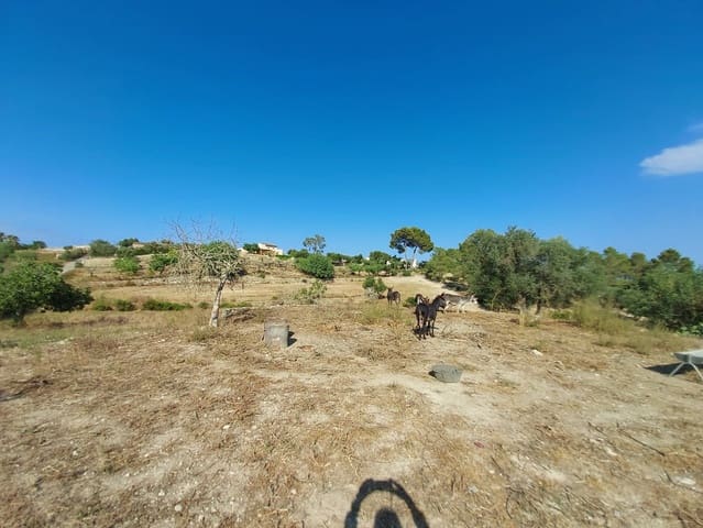 Lejlighed til salg i María de la Salud / María de la Salut med swimmingpool - € 240.000 (Ref: 10080140)