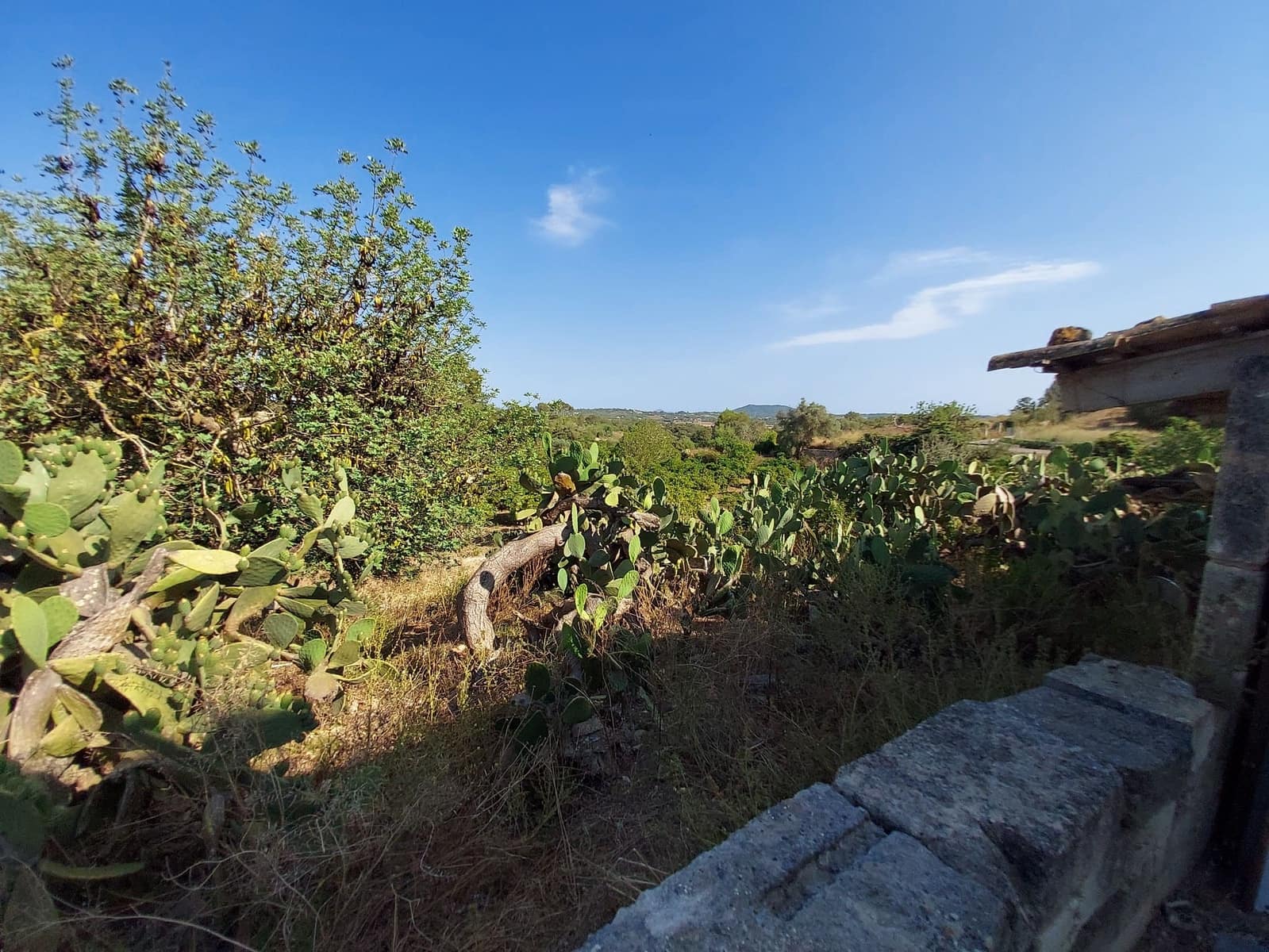 Lejlighed til salg i Maria de la Salud / Maria de la Salut med swimmingpool - € 240.000 (Ref: 10080140)