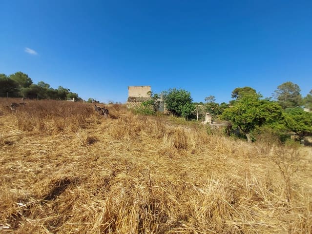 Lejlighed til salg i María de la Salud / María de la Salut med swimmingpool - € 240.000 (Ref: 10080140)