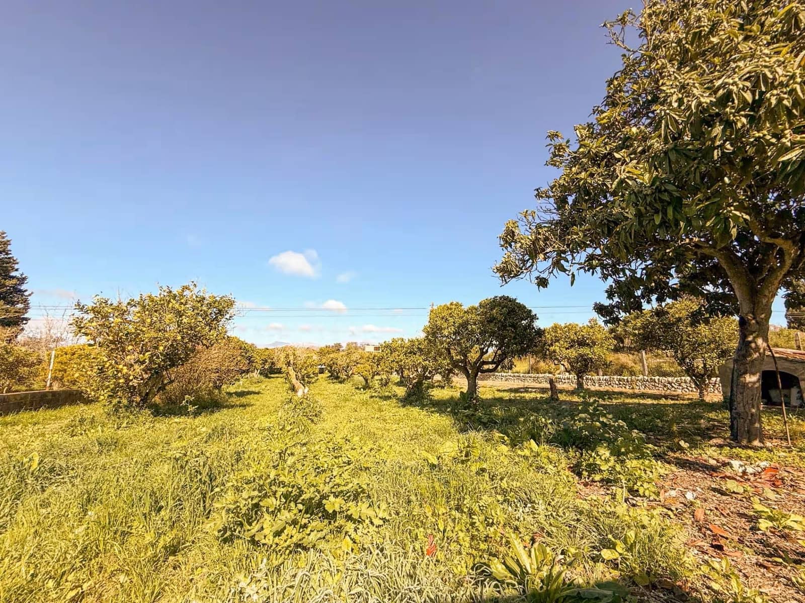 3 Zimmer Finca/Landgut zu verkaufen in Costitx mit Garage - 295.000 € (Ref: 10095809)