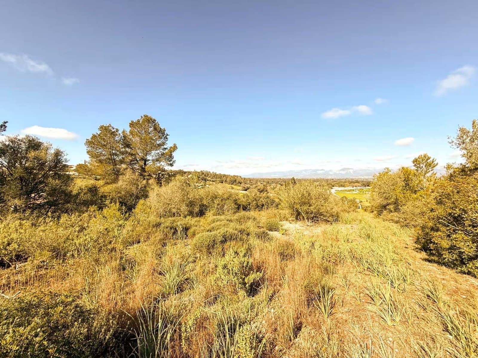 3 Zimmer Finca/Landgut zu verkaufen in Costitx mit Garage - 295.000 € (Ref: 10095809)