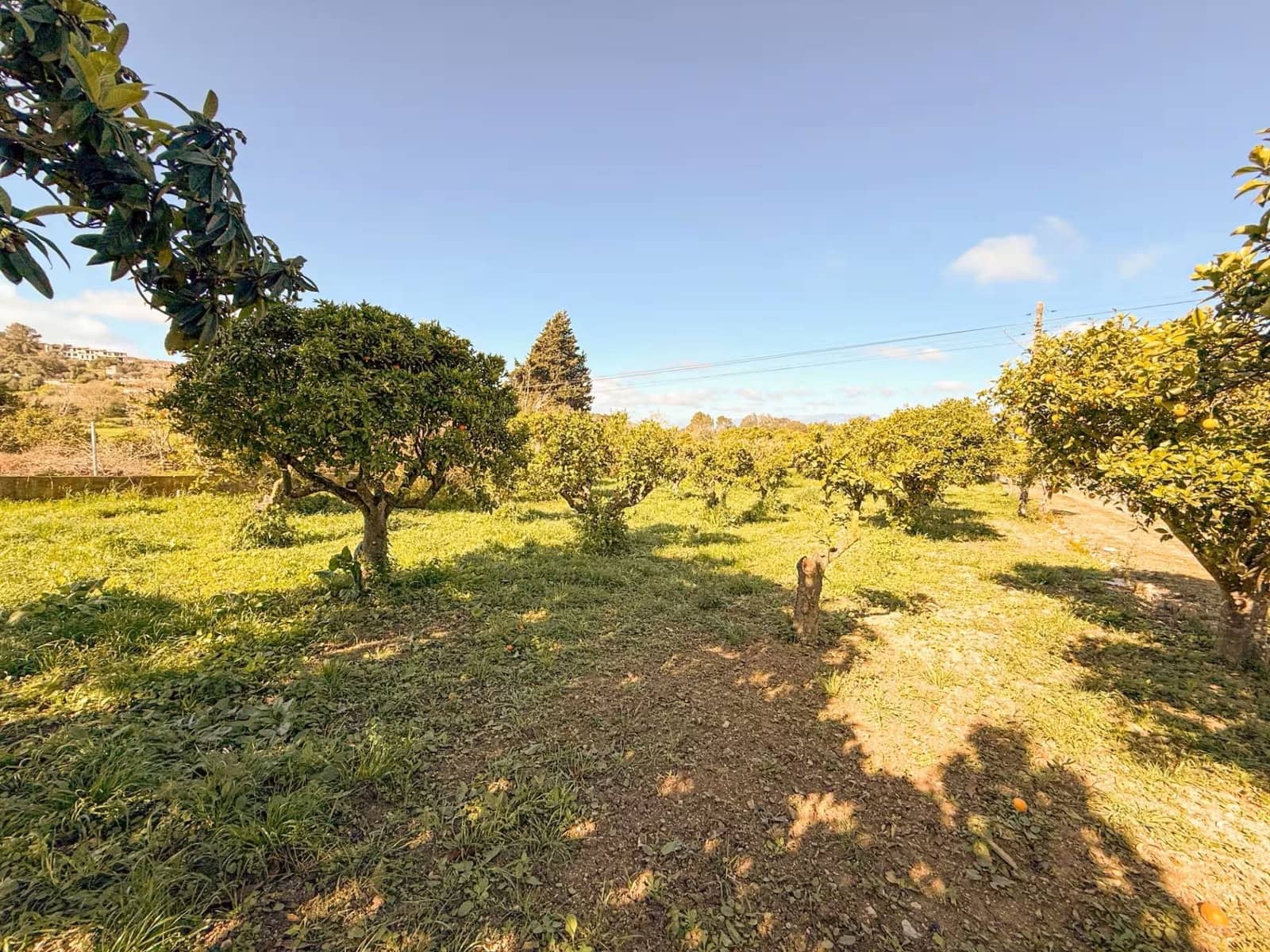 3 Zimmer Finca/Landgut zu verkaufen in Costitx mit Garage - 295.000 € (Ref: 10095809)
