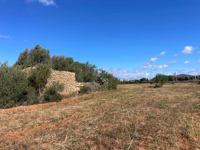 Teren niezagospodarowany na sprzedaż w Llucmajor - 395 000 € (Ref: 10115670)