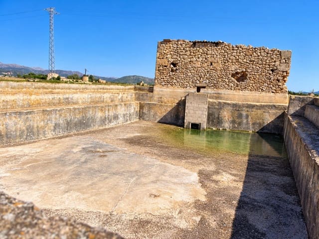 Terreno Non Edificato in vendita in Sa Pobla - 126.000 € (Rif: 10139996)
