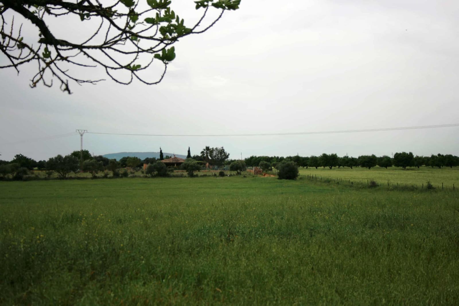 Finca/Landehus til salg i Sencelles - € 1.100.000 (Ref: 4146501)