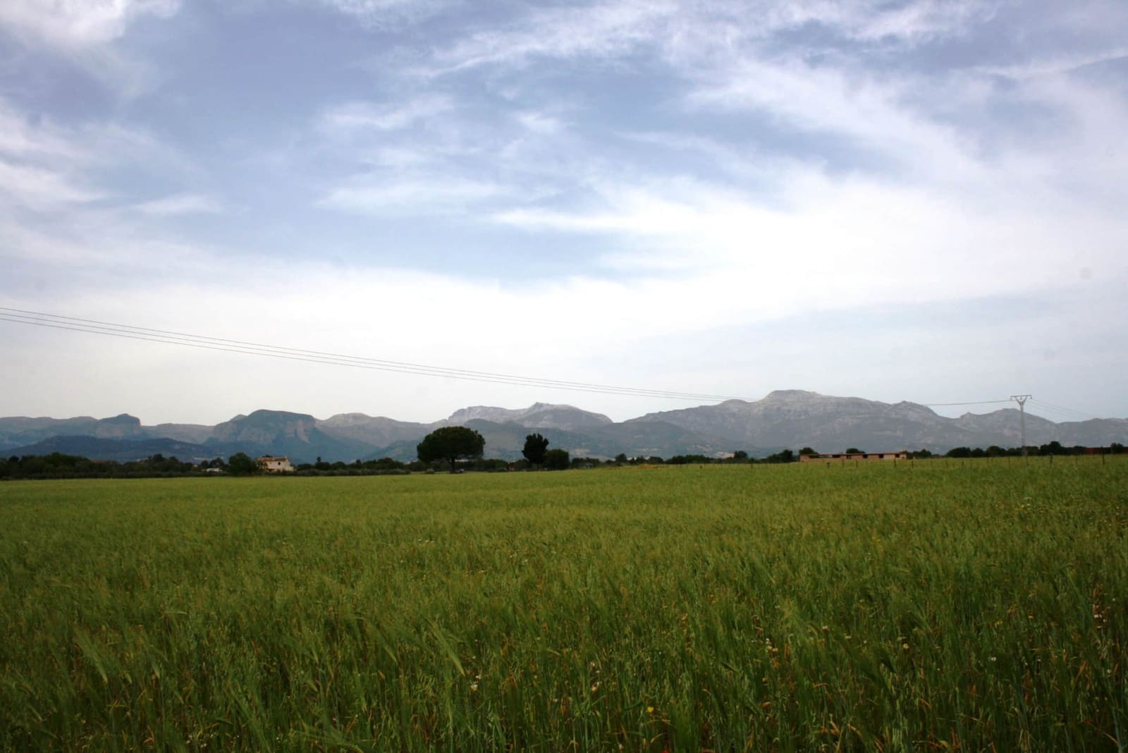 Finca/Landehus til salg i Sencelles - € 1.100.000 (Ref: 4146501)