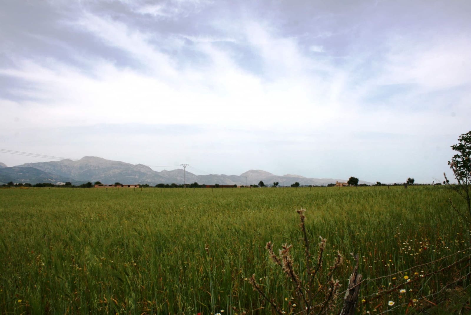 Finca/Landehus til salg i Sencelles - € 1.100.000 (Ref: 4146501)