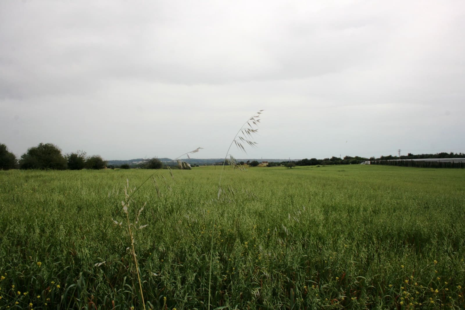 Finca/Landehus til salg i Sencelles - € 1.100.000 (Ref: 4146501)