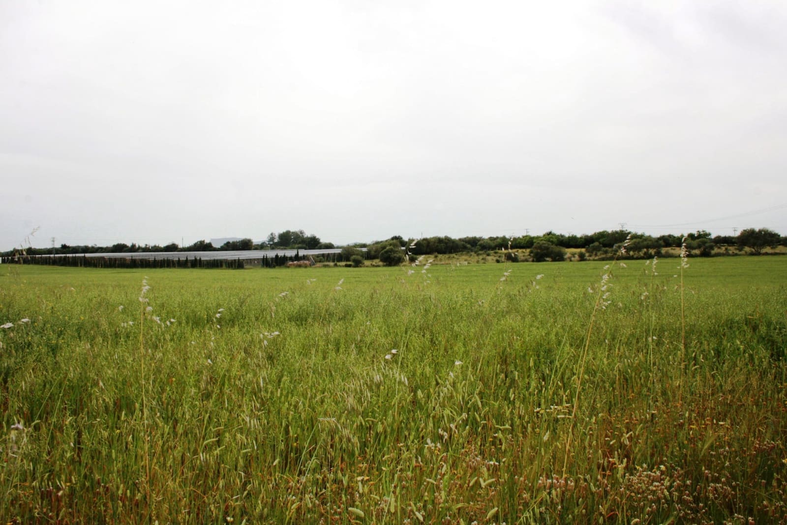 Finca/Landehus til salg i Sencelles - € 1.100.000 (Ref: 4146501)