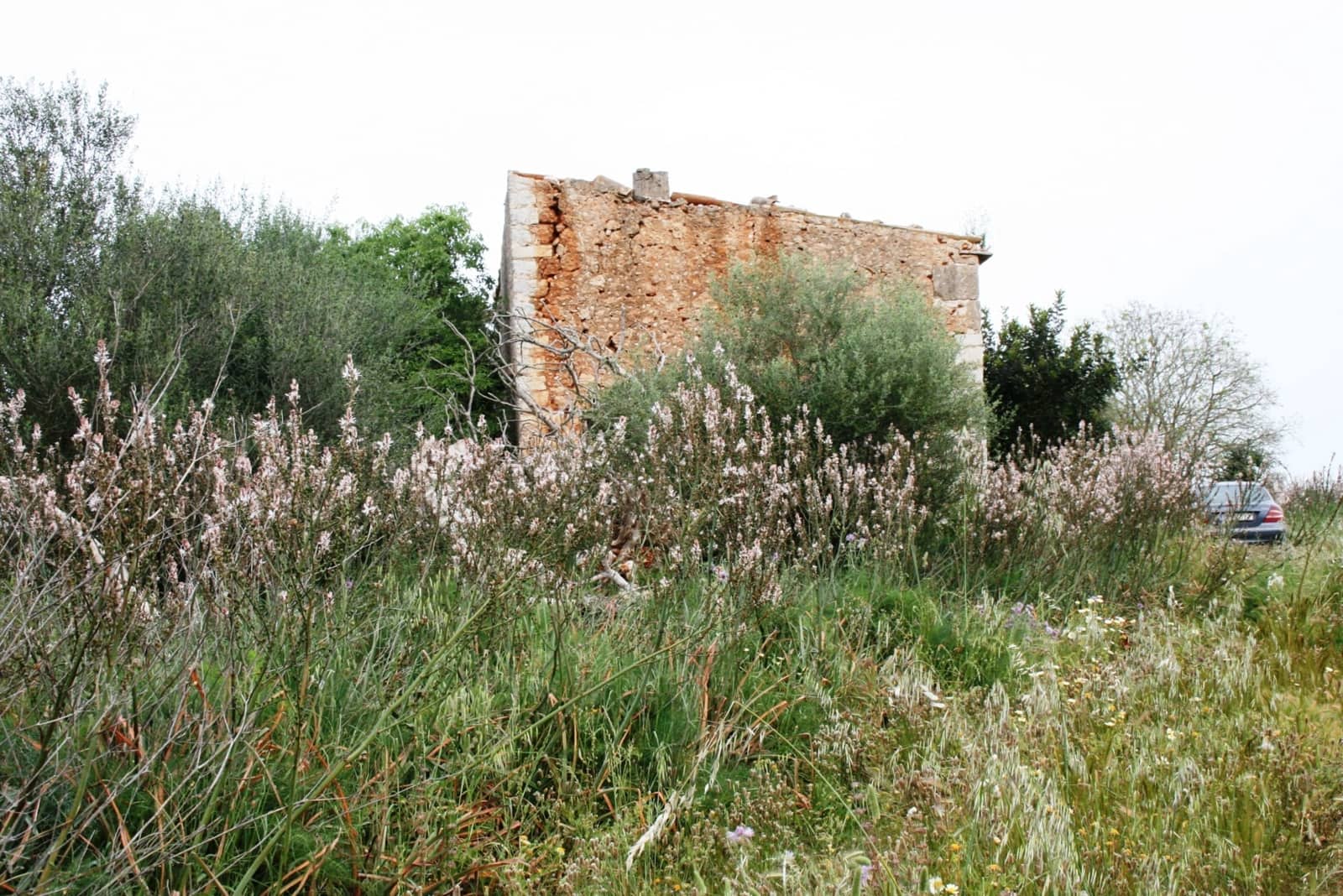 Finca/Landehus til salg i Sencelles - € 1.100.000 (Ref: 4146501)