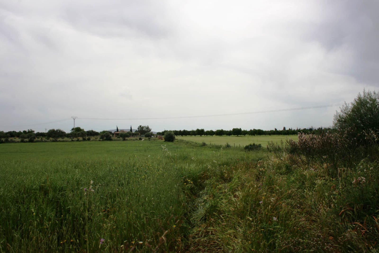 Finca/Landehus til salg i Sencelles - € 1.100.000 (Ref: 4146501)