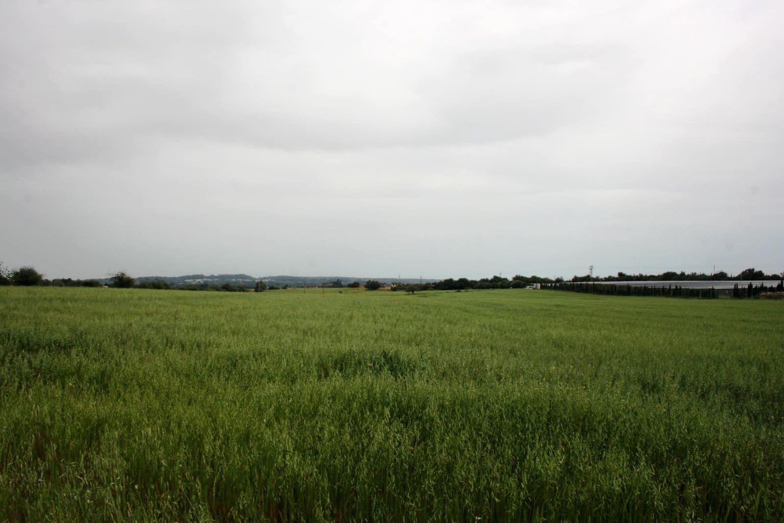 Finca/Landehus til salg i Sencelles - € 1.100.000 (Ref: 4146501)