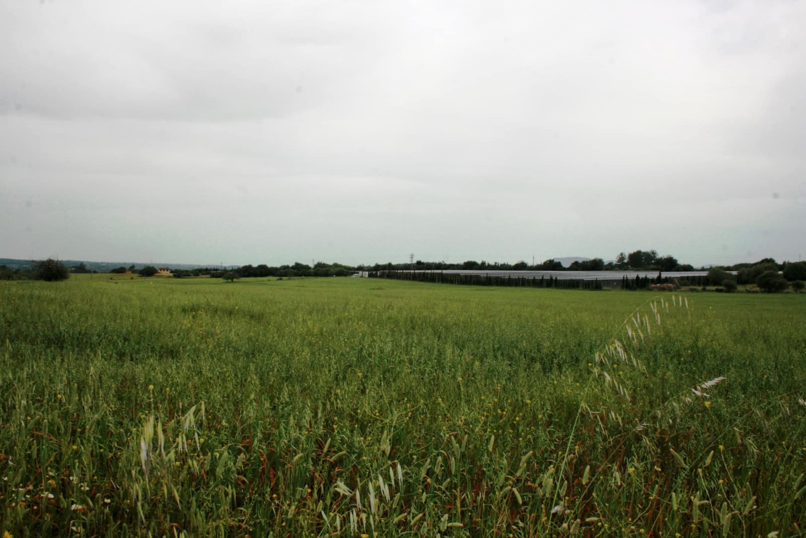 Finca/Landehus til salg i Sencelles - € 1.100.000 (Ref: 4146501)