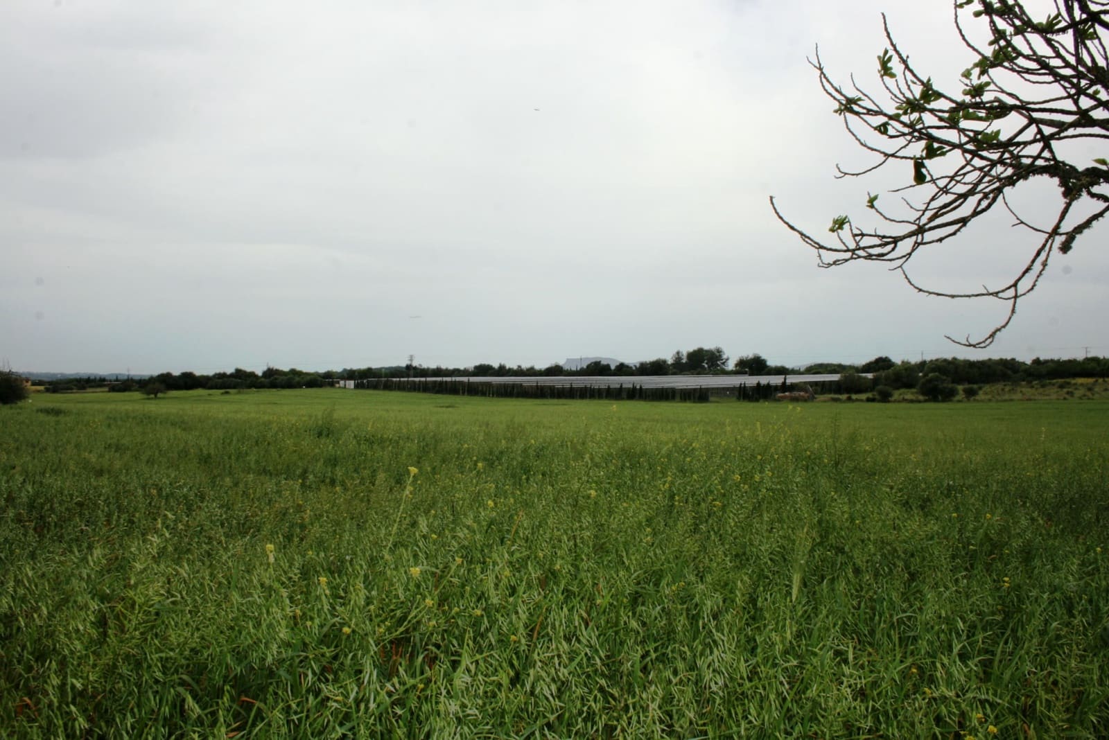 Finca/Landehus til salg i Sencelles - € 1.100.000 (Ref: 4146501)