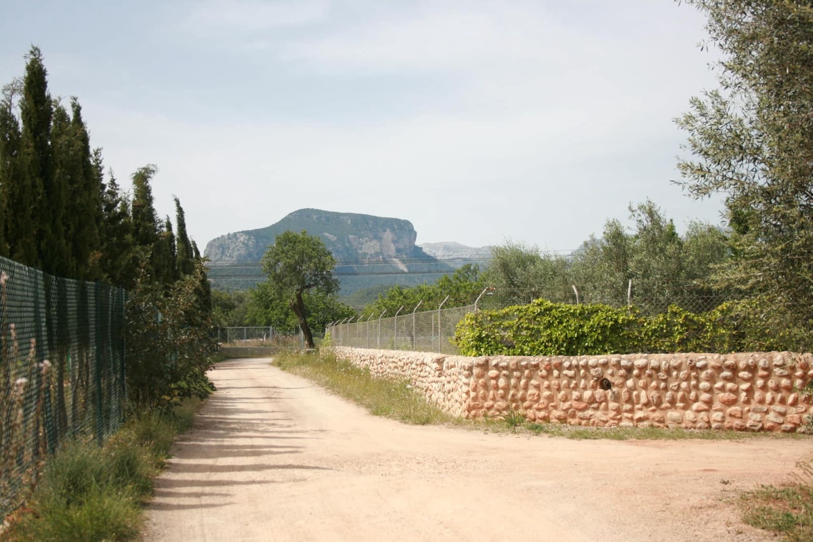 Terre non Aménagée à vendre à Lloseta - 330 000 € (Ref: 6123107)