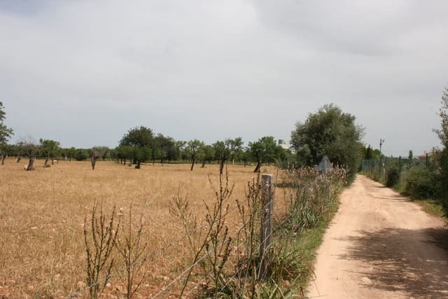 Undeveloped Land for sale in Lloseta - € 330,000 (Ref: 6123107)