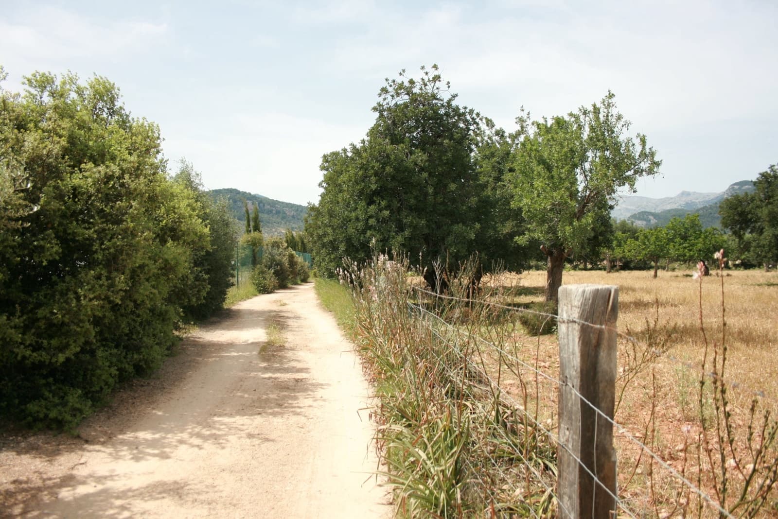 Terre non Aménagée à vendre à Lloseta - 330 000 € (Ref: 6123107)