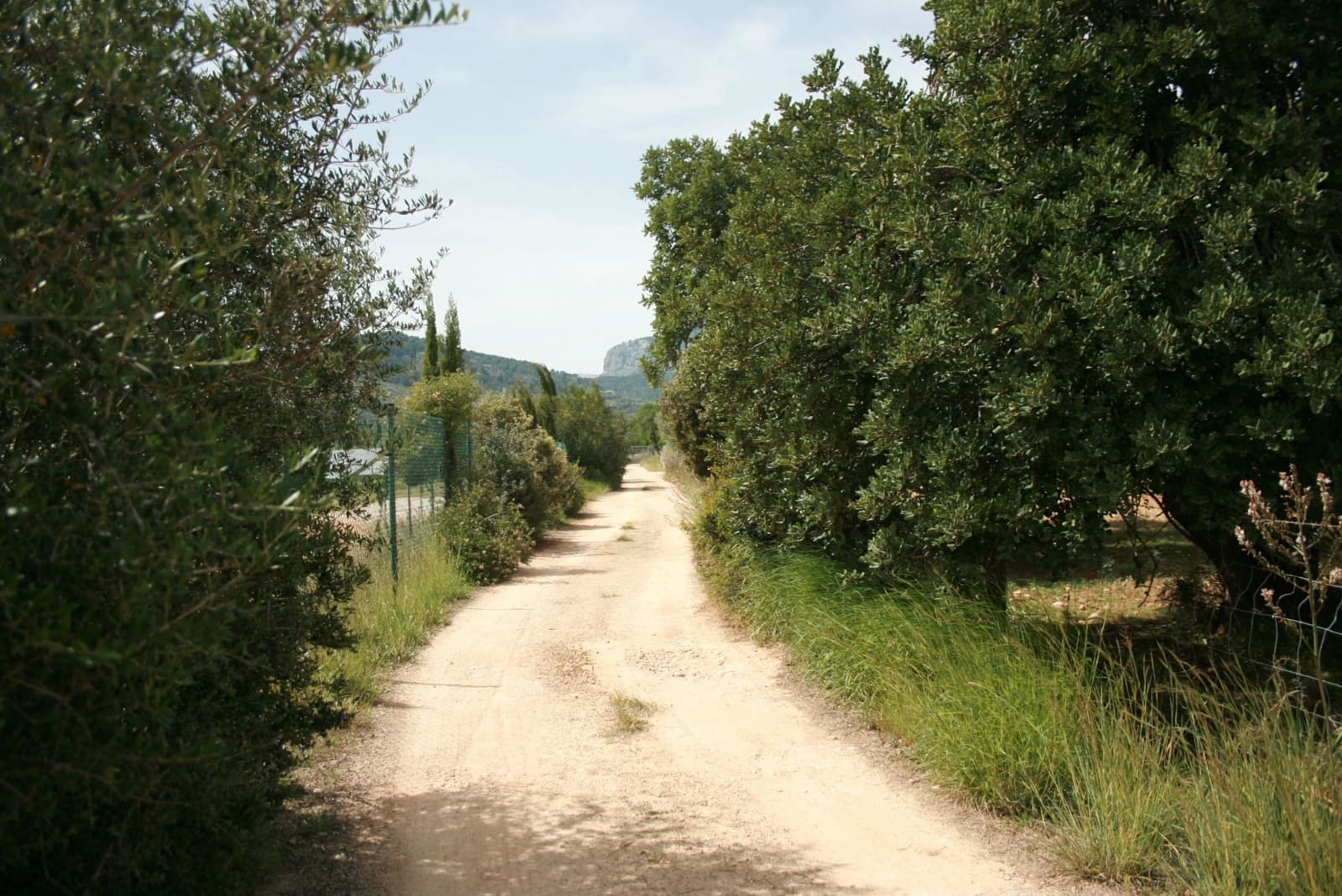 Terre non Aménagée à vendre à Lloseta - 330 000 € (Ref: 6123107)