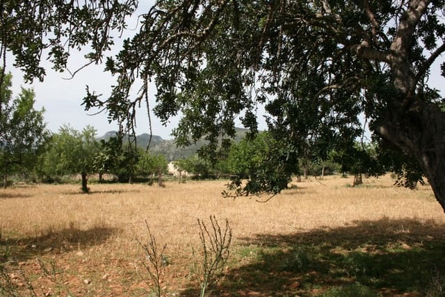 Undeveloped Land for sale in Lloseta - € 330,000 (Ref: 6123107)