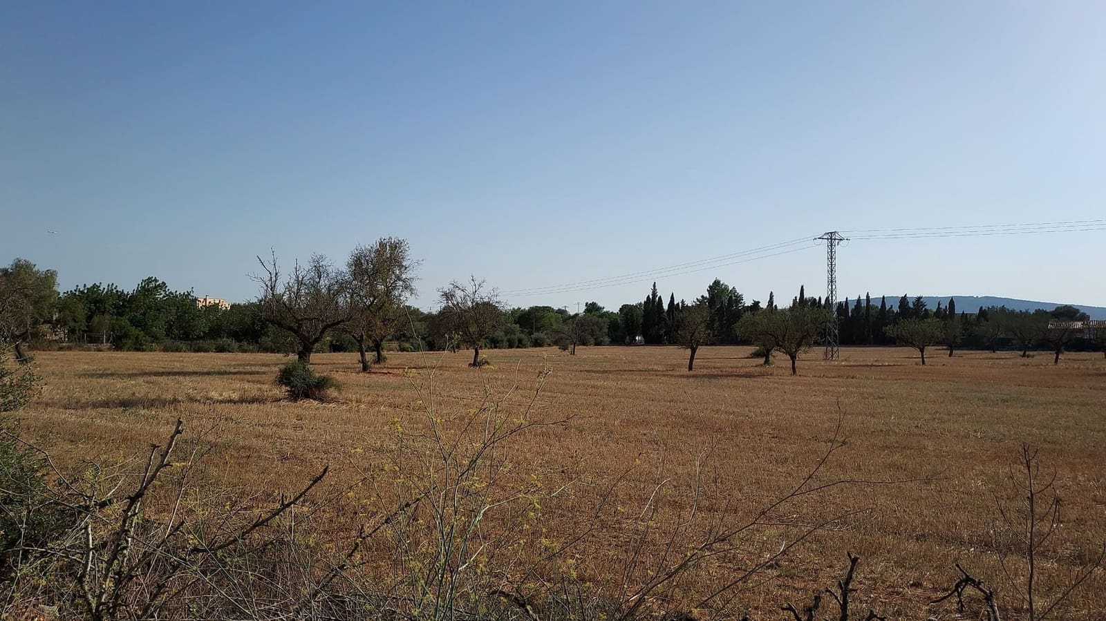 Undeveloped Land for sale in Sencelles - € 160,000 (Ref: 7742094)