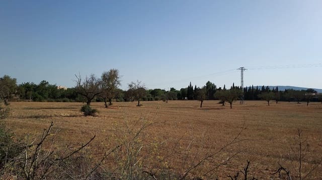 Undeveloped Land for sale in Sencelles - € 160,000 (Ref: 7742094)