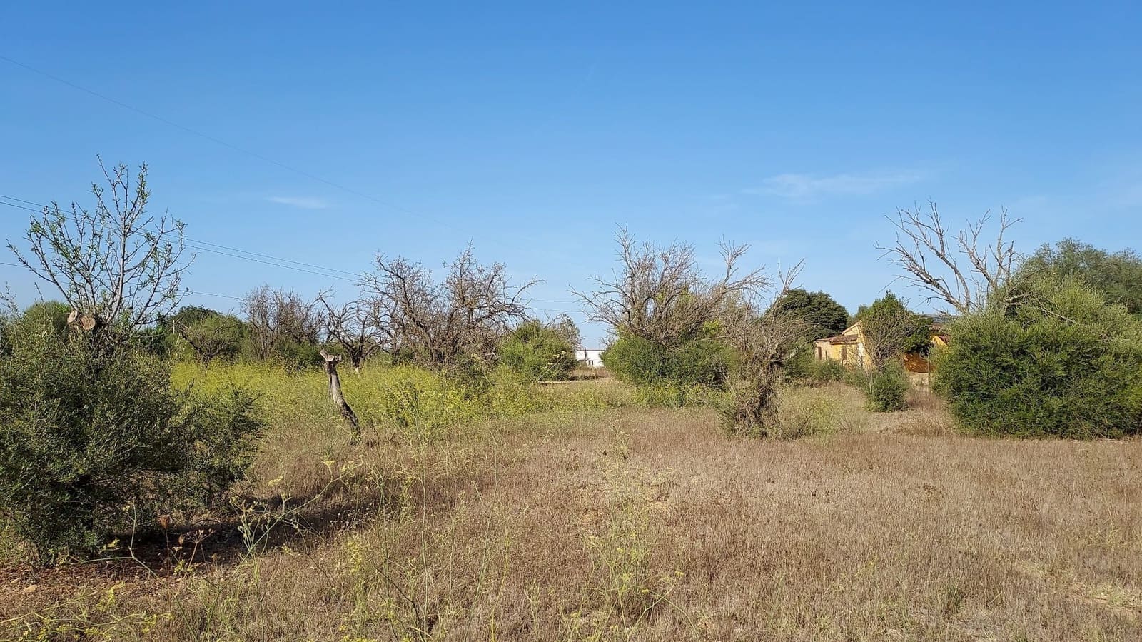 Undeveloped Land for sale in Sencelles - € 160,000 (Ref: 7742094)