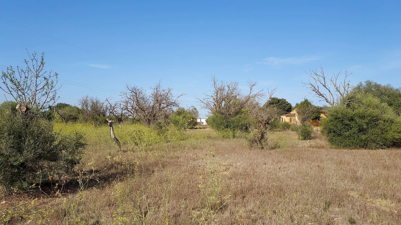 Undeveloped Land for sale in Sencelles - € 160,000 (Ref: 7742094)