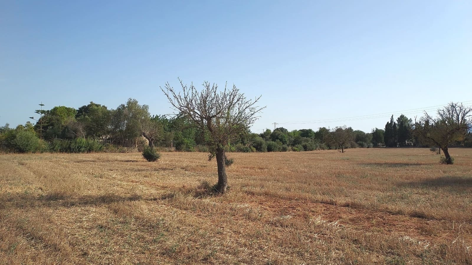 Undeveloped Land for sale in Sencelles - € 160,000 (Ref: 7742094)