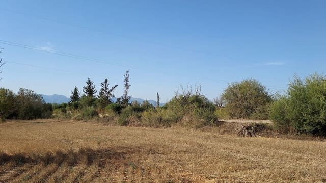 Undeveloped Land for sale in Sencelles - € 160,000 (Ref: 7742094)