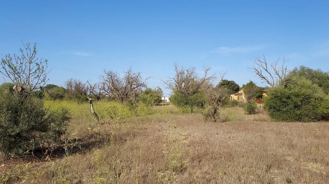 Undeveloped Land for sale in Sencelles - € 160,000 (Ref: 7742094)
