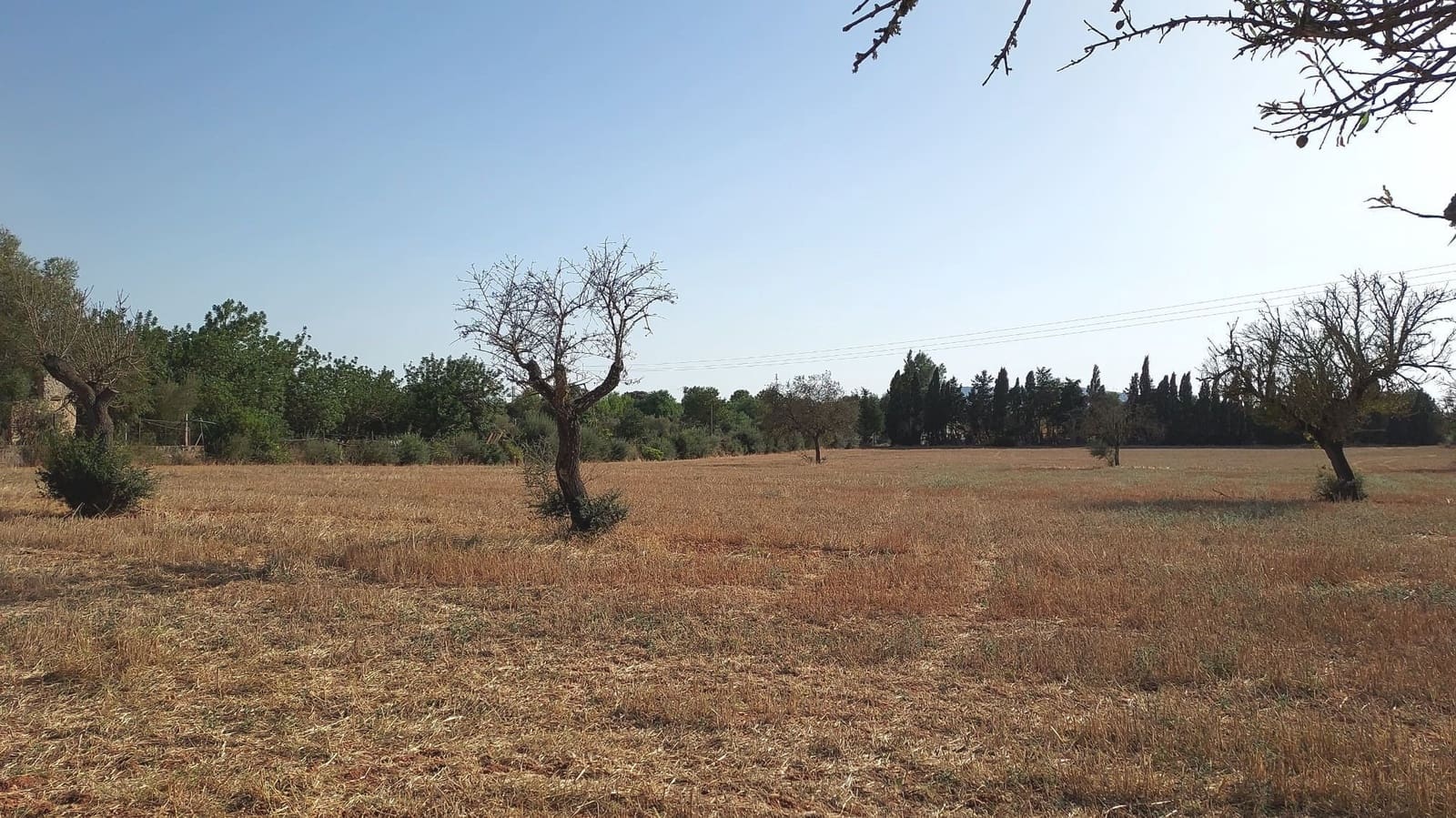 Undeveloped Land for sale in Sencelles - € 160,000 (Ref: 7742094)