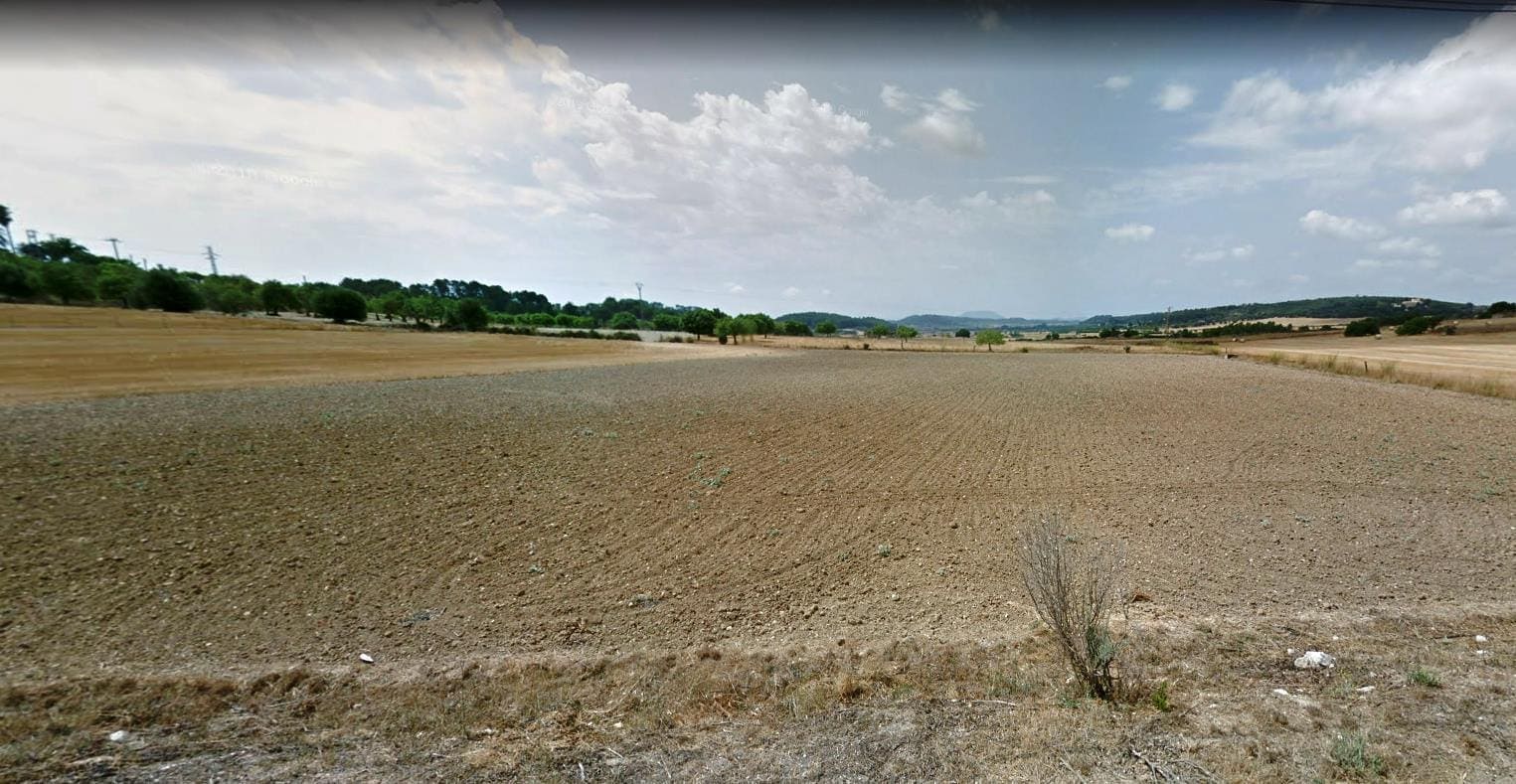 Terreno Non Edificato in vendita in Sineu - 340.000 € (Rif: 7868923)