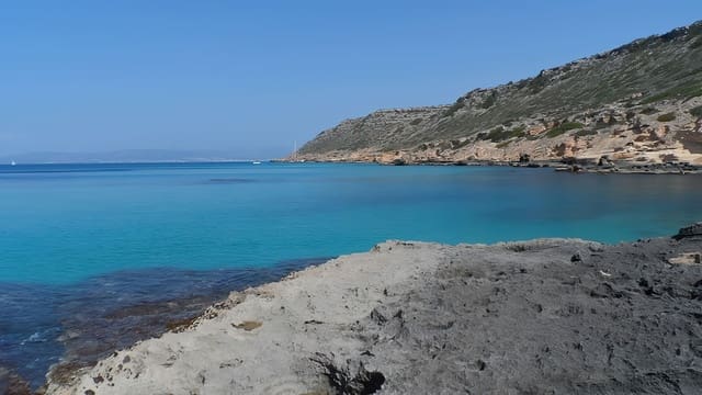 Undeveloped Land for sale in Sa Torre (Llucmajor), Llucmajor - € 470,000 (Ref: 7921051)