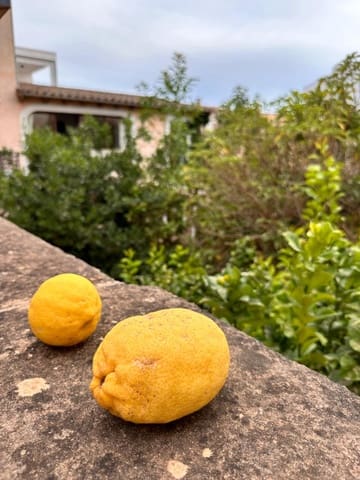 7 makuuhuone Omakotitalo myytävänä paikassa Binissalem mukana uima-altaan 
autotalli - 650 000 € (Ref: 8583522)