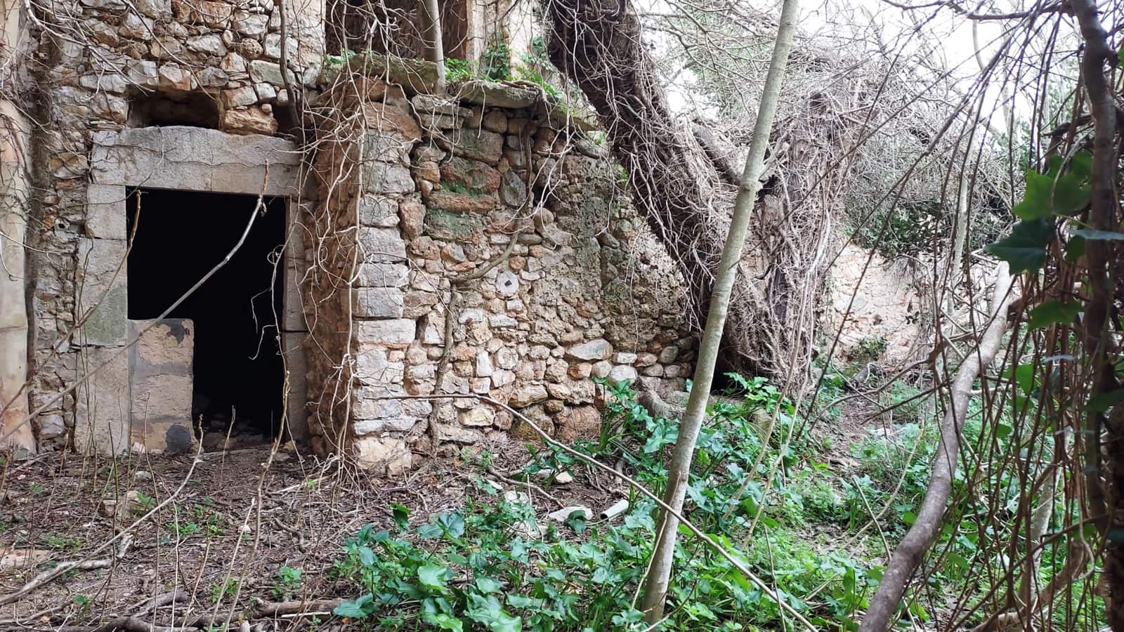 Byhus til salg i Binissalem med swimmingpool - € 1.500.000 (Ref: 8816551)