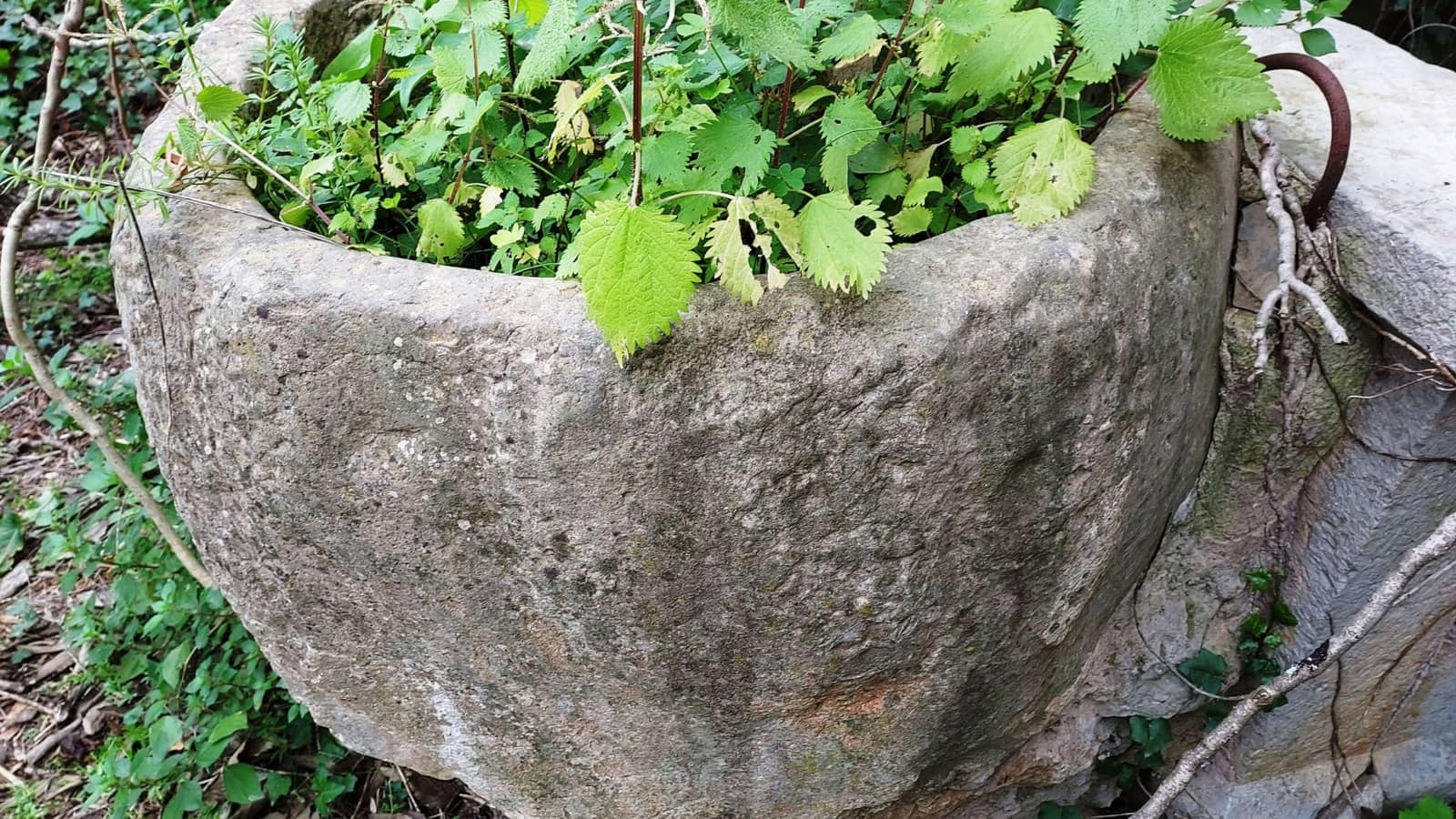 Byhus til salg i Binissalem med swimmingpool - € 1.500.000 (Ref: 8816551)