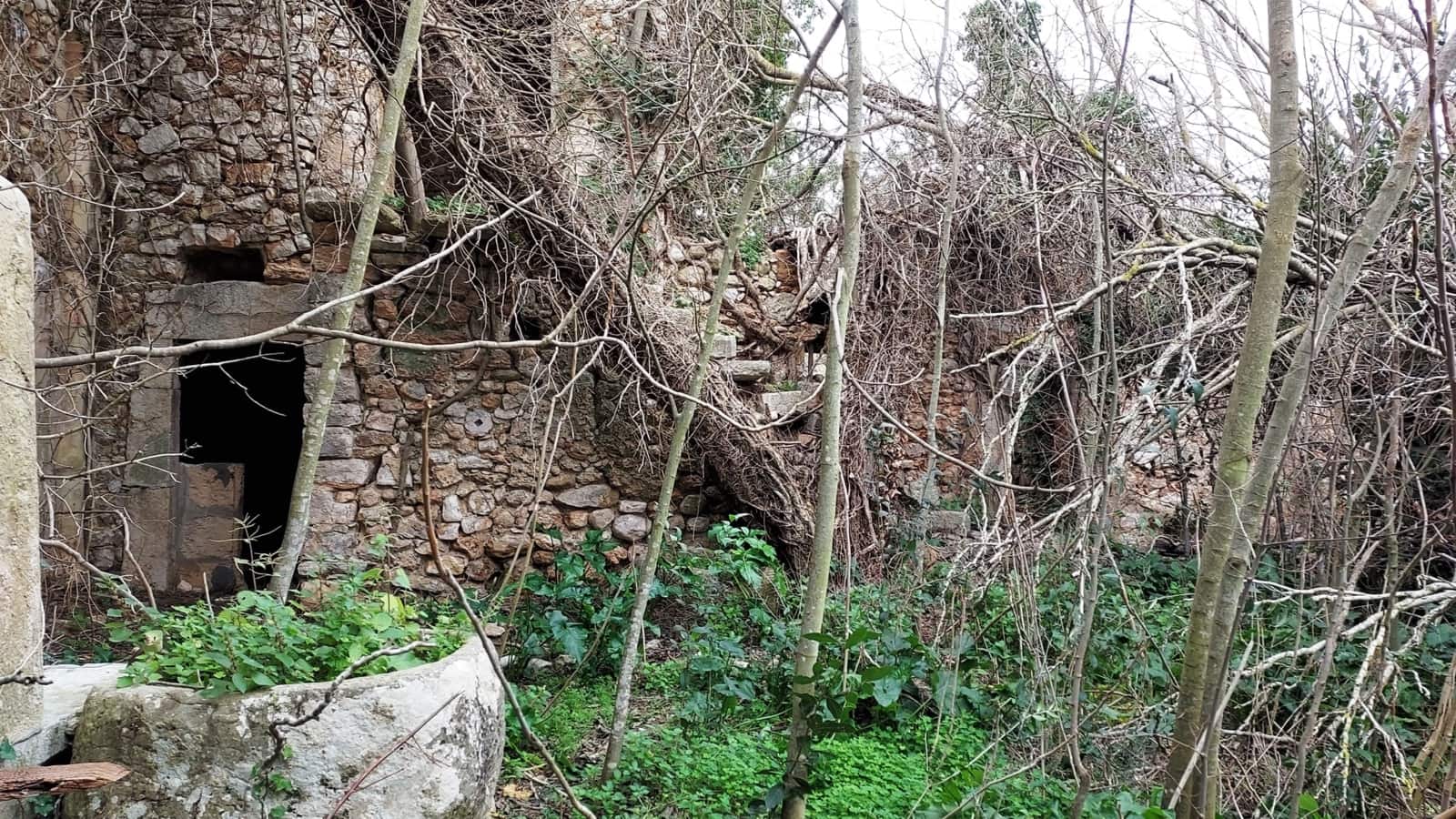 Byhus til salg i Binissalem med swimmingpool - € 1.500.000 (Ref: 8816551)