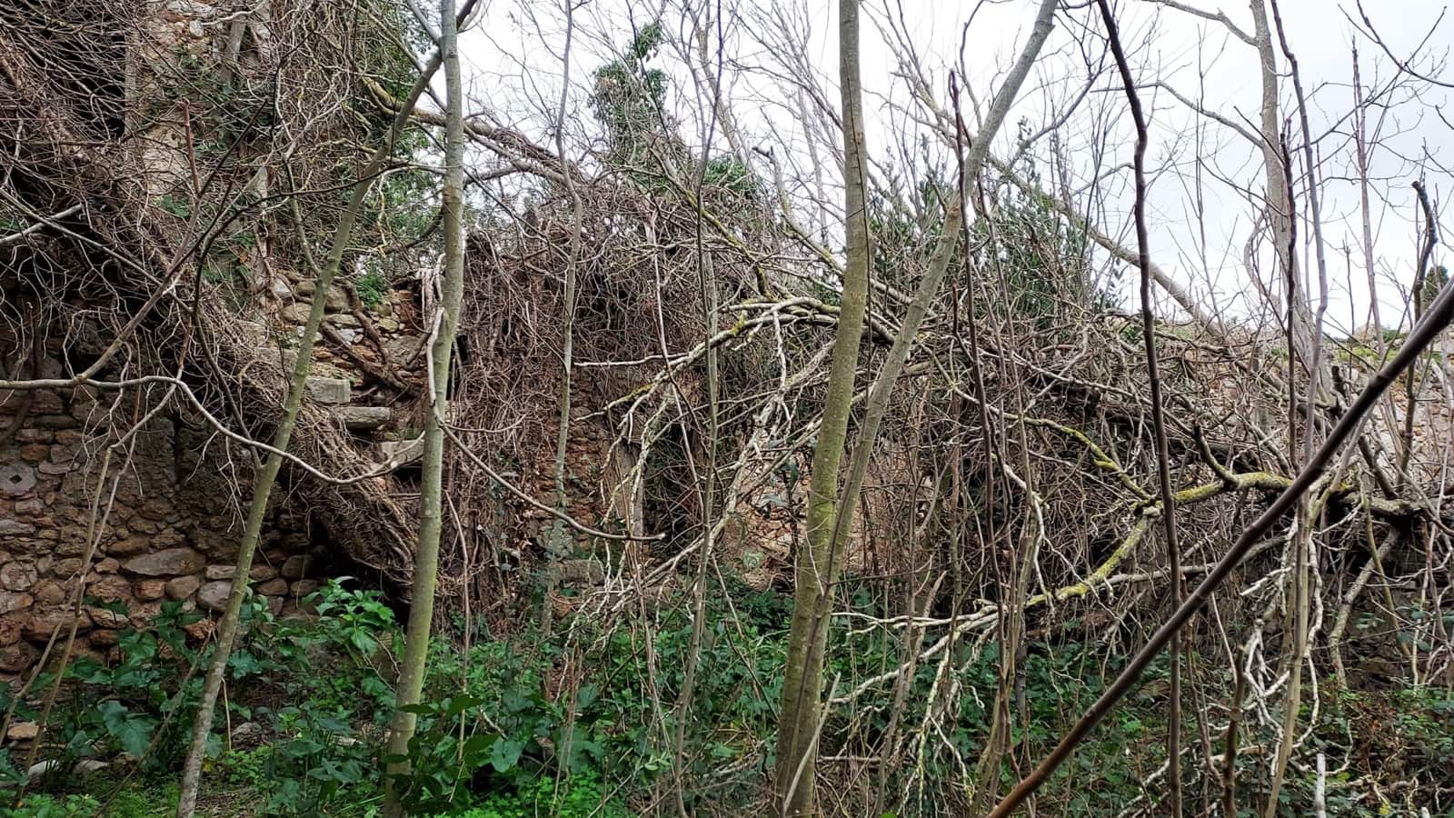 Byhus til salg i Binissalem med swimmingpool - € 1.500.000 (Ref: 8816551)