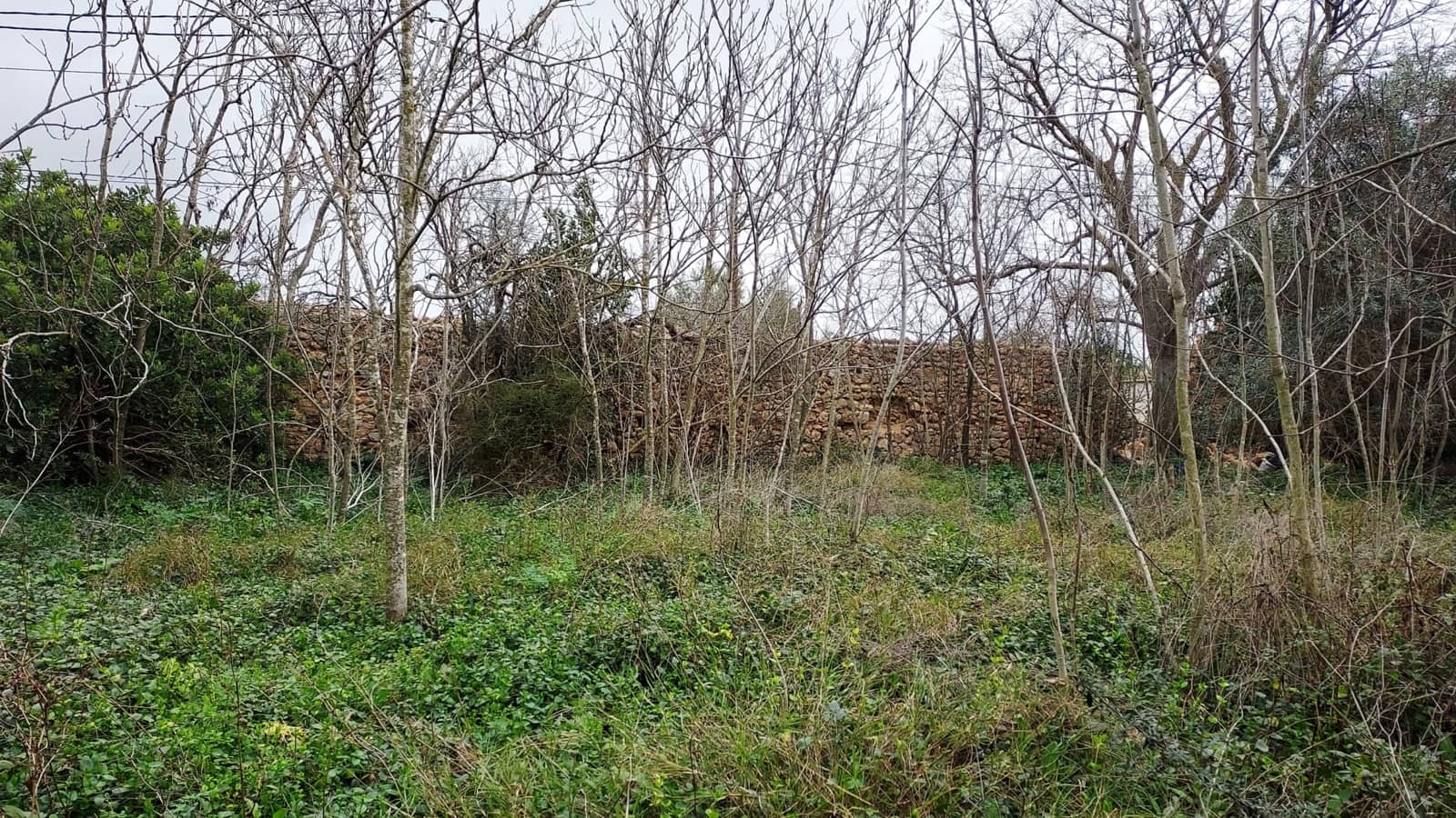 Byhus til salg i Binissalem med swimmingpool - € 1.500.000 (Ref: 8816551)