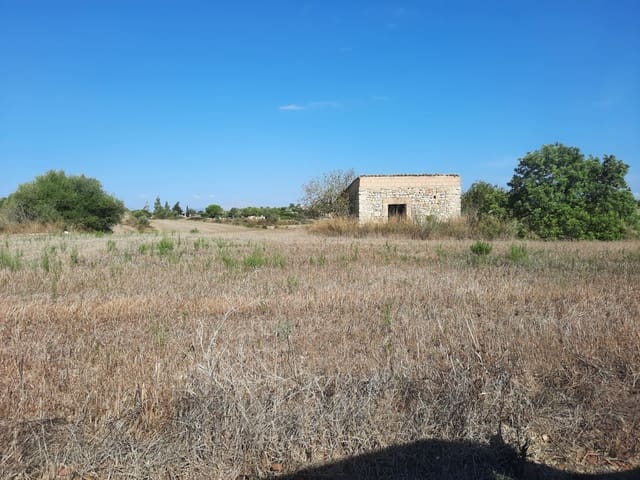 Grunde uden byggetilladelser til salg i Santa Margalida - € 675.000 (Ref: 8873592)