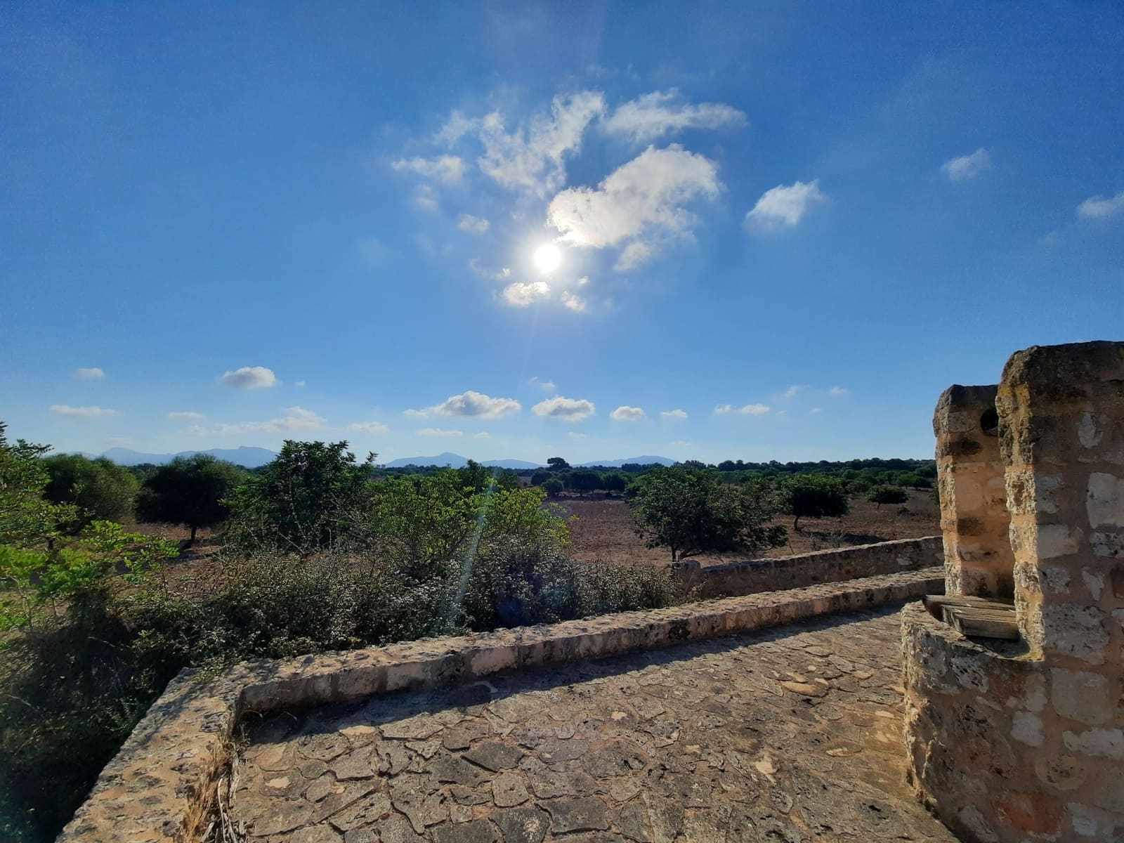 Grond te koop in Maria de la Salud / Maria de la Salut - € 1.700.000 (Ref: 8887165)