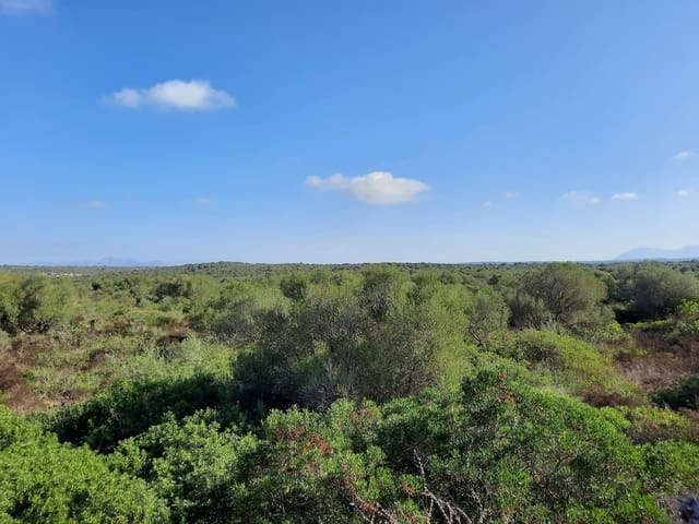 Mark till salu i María de la Salud / María de la Salut - 1 700 000 € (Ref: 8887165)