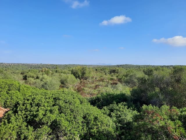 Mark till salu i María de la Salud / María de la Salut - 1 700 000 € (Ref: 8887165)