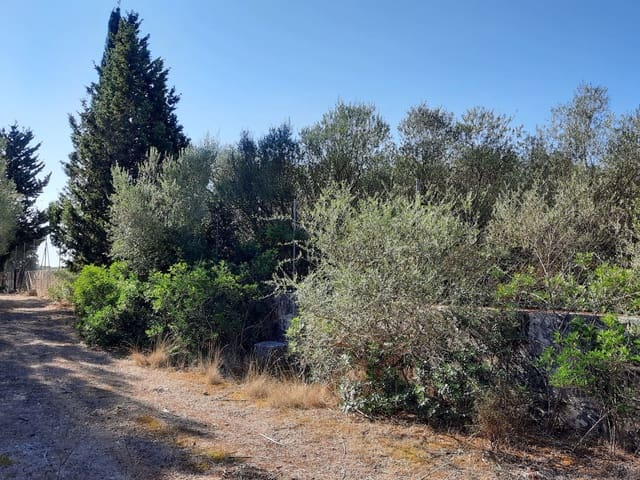 Mark till salu i María de la Salud / María de la Salut - 1 700 000 € (Ref: 8887165)