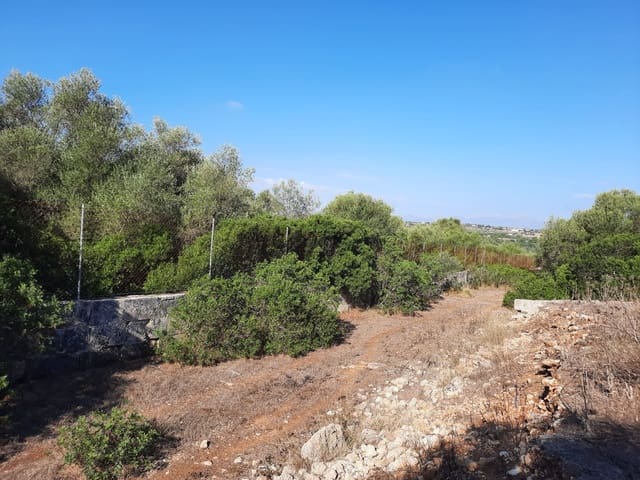 Mark till salu i María de la Salud / María de la Salut - 1 700 000 € (Ref: 8887165)