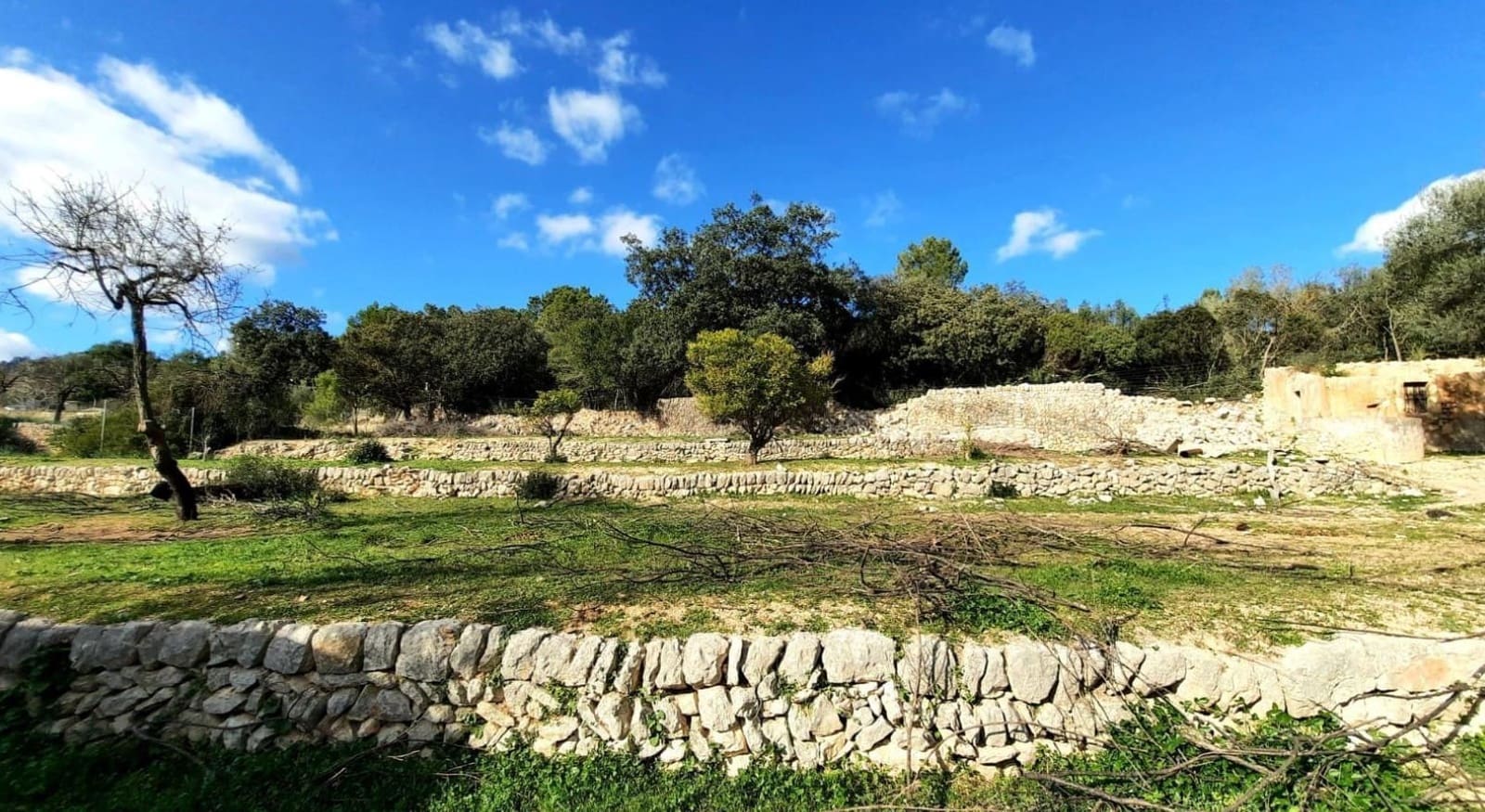 3 slaapkamer Finca/Landhuis te koop in Binissalem - € 630.000 (Ref: 9015618)