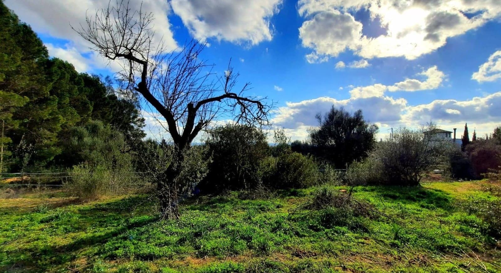 3 slaapkamer Finca/Landhuis te koop in Binissalem - € 630.000 (Ref: 9015618)