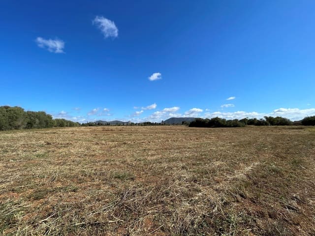 Undeveloped Land for sale in Llucmajor - € 750,000 (Ref: 9016631)